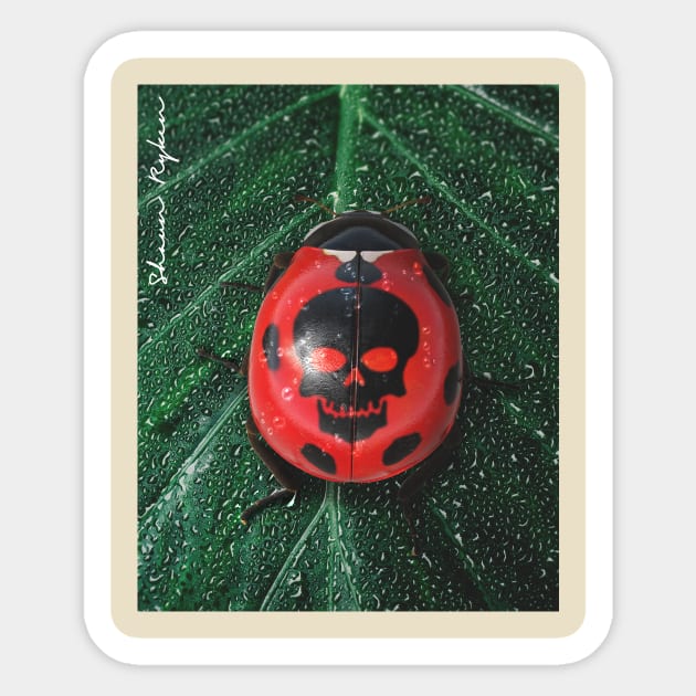 Killer Ladybug Sticker by ShaunRyken